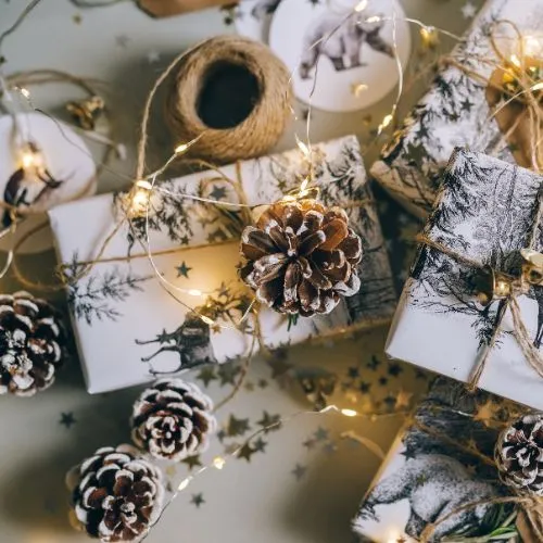 Image of pinecones, twigs, and branches used in Christmas decor. Utilizing nature's elements for eco-friendly and Budget Friendly Christmas Decor Ideas