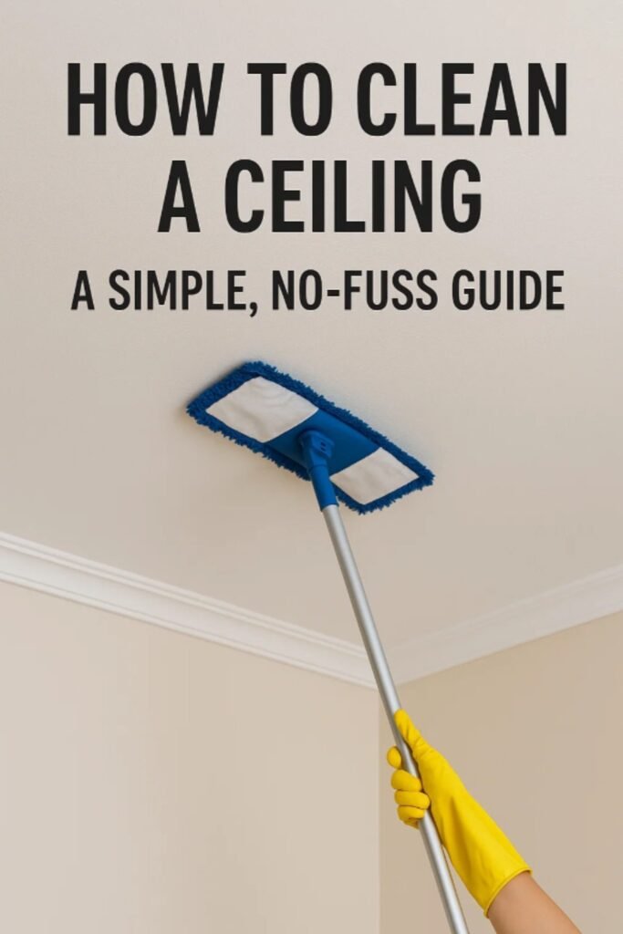 ceiling cleaning ideas