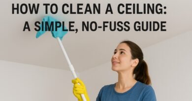 a lady cleaning ceiling