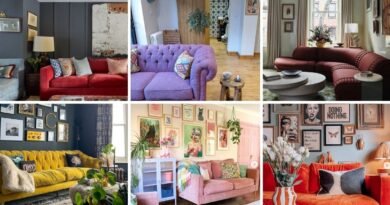 Collage of unique sofa colors