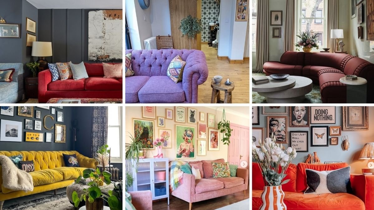 Collage of unique sofa colors