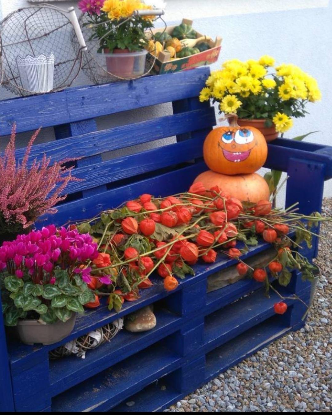 Rustic blue bench decorated with orange pumpkins, colorful flowers, and fall produce.