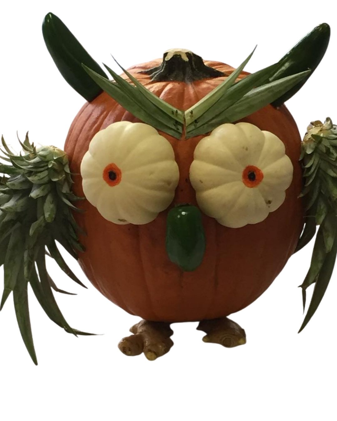 Cute DIY owl pumpkin with squash eyes, greenery wings, and vegetable details, creating a fun and unique fall decoration.