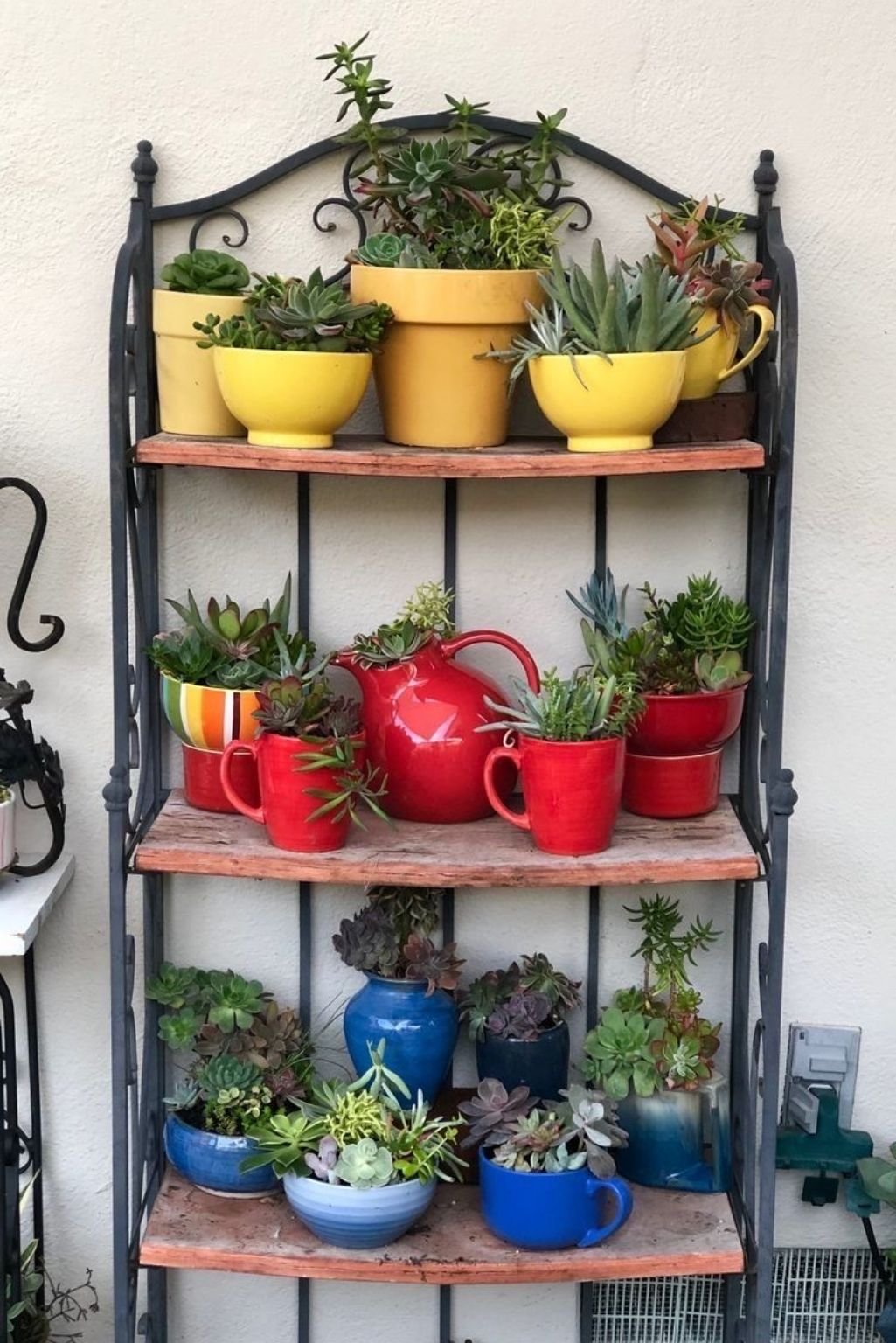 wall-mounted rack holding colorful teacup plant pots