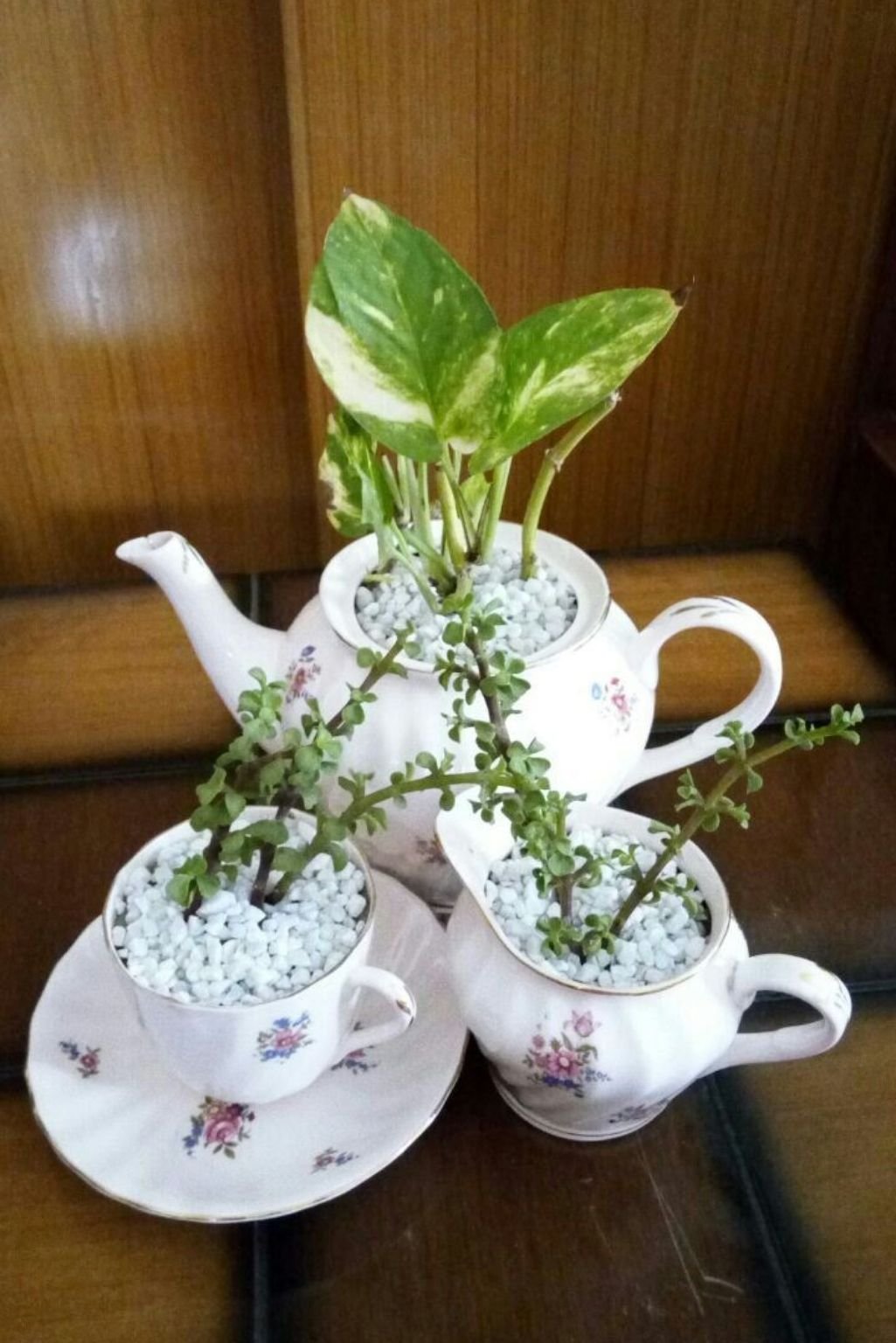white teapot and teacup planter with green leafy plant