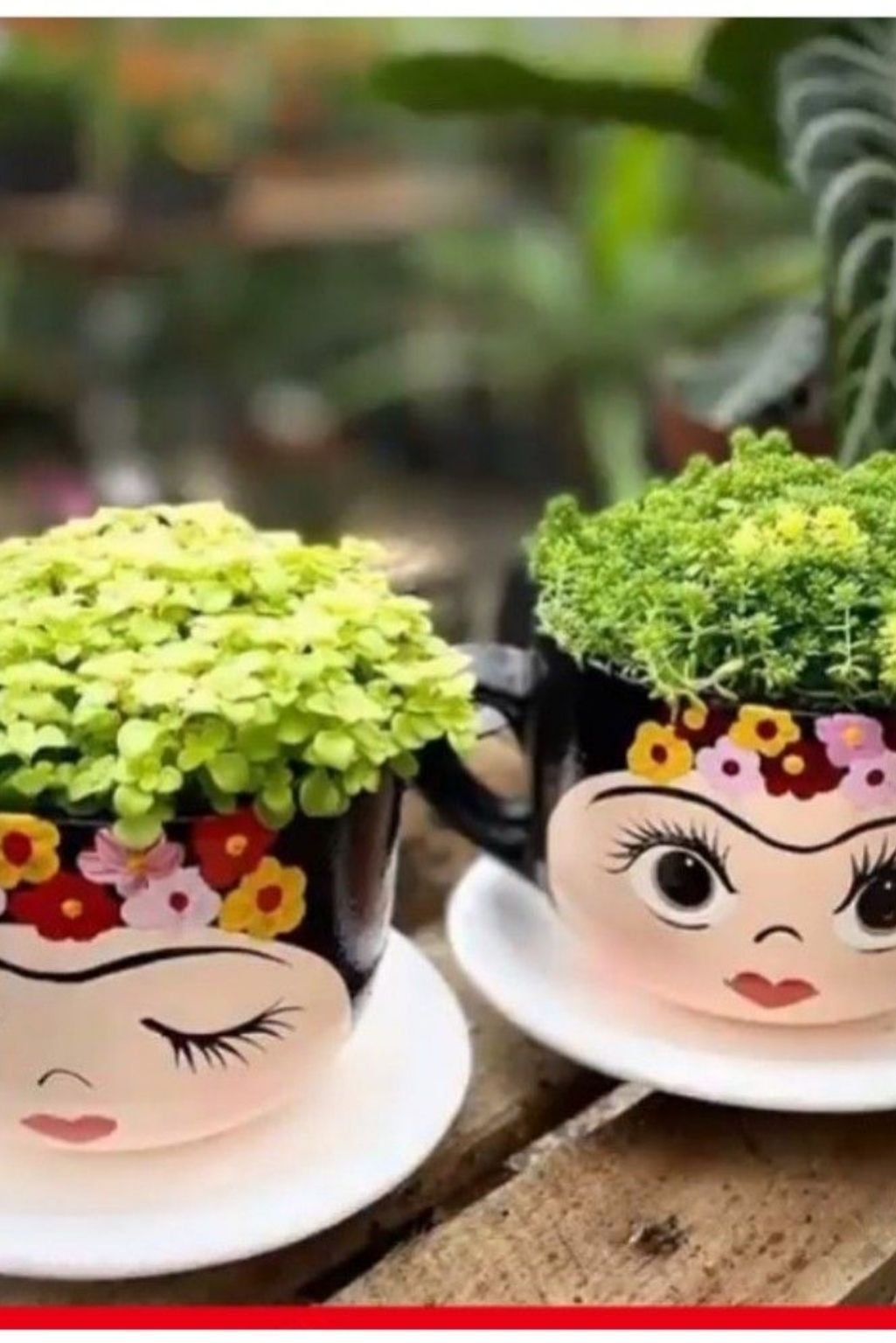 cute face-themed teacup planter with bright flowers